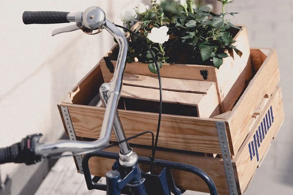 Bio-Lavendelöl+Zirbenholz